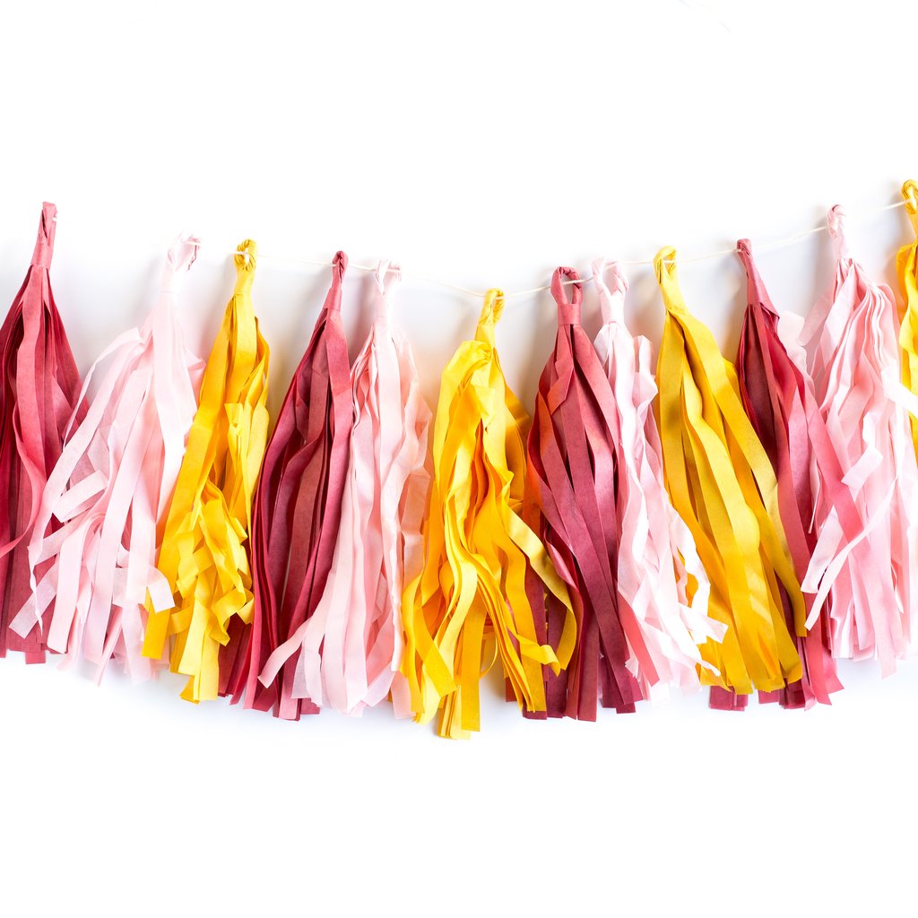 Tissue best sale tassel banner