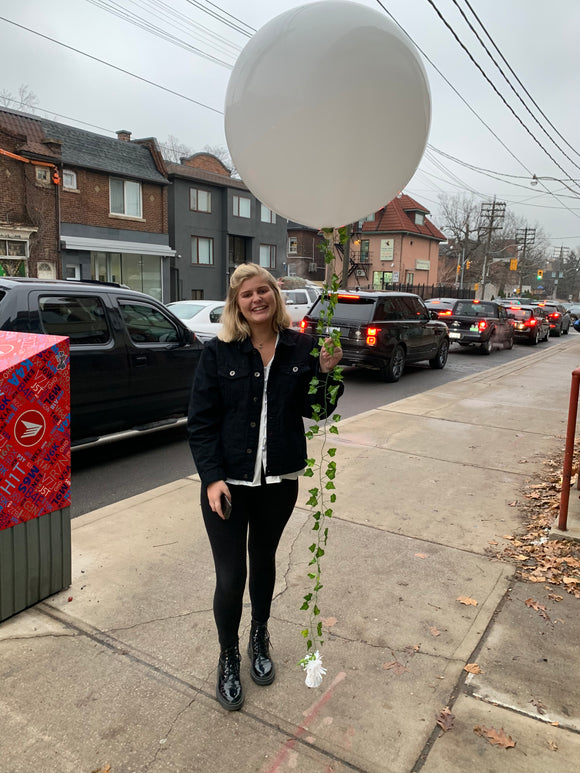 Helium inflated Jumbo white balloon with ivy tail