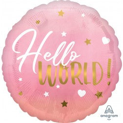 Hello world baby girl