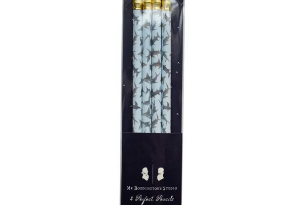 Pack of 4 sharks pencils - Mr Boddington’s studio