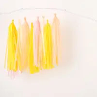 Pack of 3 paper tassels - various colours to choose