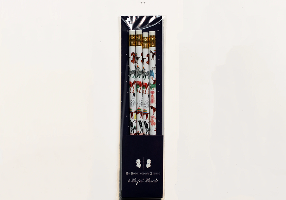 *HALF PRICE* Pack of 4 doggies pencils - Mr Boddington’s studio