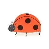 Ladybug napkins - Meri Meri